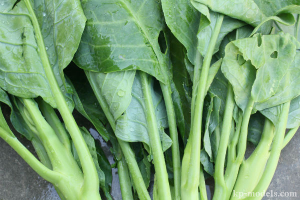 ข้อมูลโภชนาการผักคะน้า และประโยชน์ต่อสุขภาพ คะน้าเป็นผักตระกูลกะหล่ำปลี ( Brassica ) และมักถูกระบุว่าเป็นซุปเปอร์ฟู้ด เนื่องจากมีสารอาหารต่อ