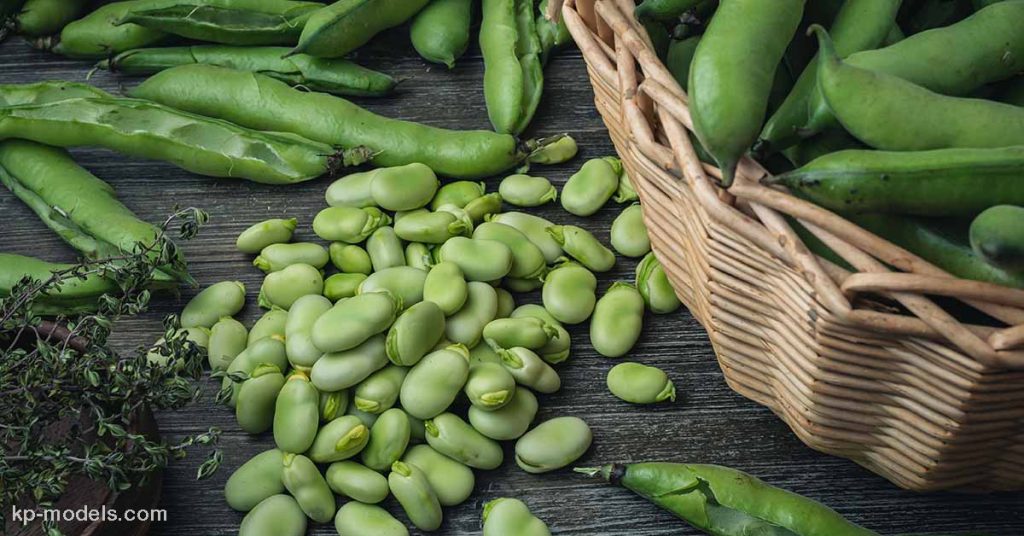 ข้อมูลโภชนาการถั่วฟาวา (ถั่วปากอ้าในสหราชอาณาจักร) มีขนาดใหญ่ แบน ฝักสีเขียวอ่อน มักจะกินทั้งเปลือกเพื่อรสชาติที่อร่อยของถั่ว Fava