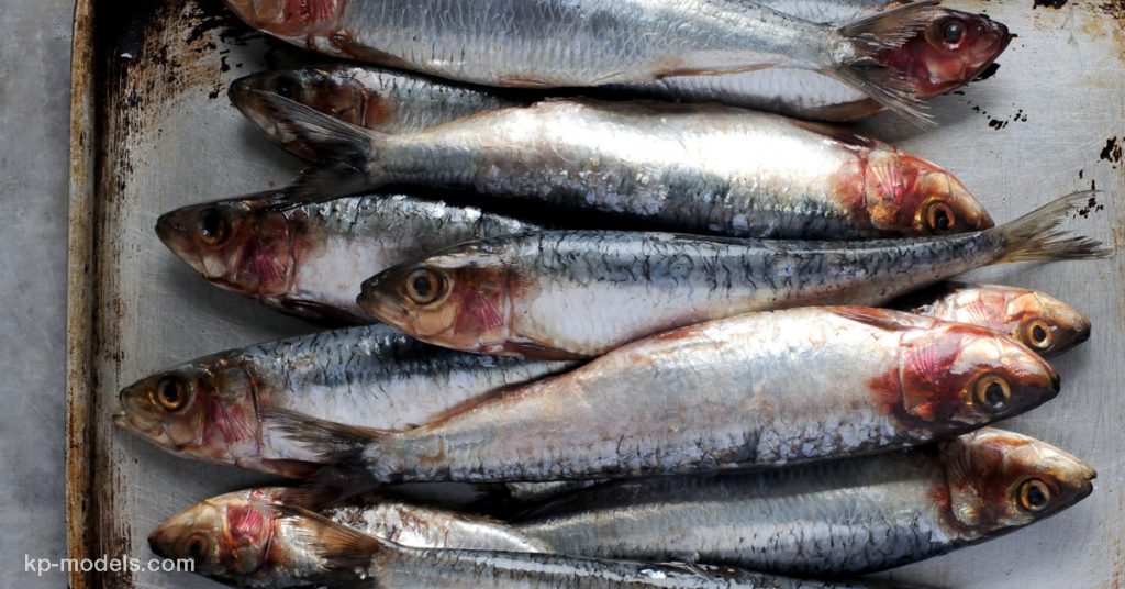 ข้อมูลโภชนาการของปลาซาร์ดีน Sardines ปลาซาร์ดีนเป็นปลาทะเลขนาดเล็ก อาศัยในน้ำเย็น อาศัยอยู่ใกล้บริเวณชายฝั่งของทะเลเมดิเตอร์เรเนียน